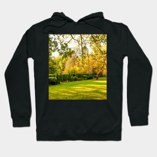 Bebeah Gardens, Mount Wilson, Blue Mountains, Sydney, NSW, Australia Hoodie